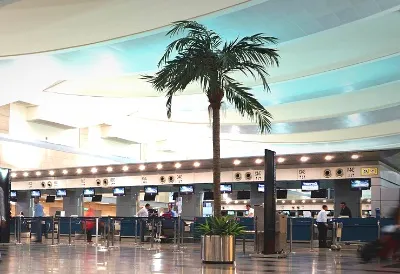 Bandara Kairo. Di dalam terminal