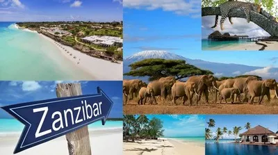Transfer di pulau eksotis Zanzibar