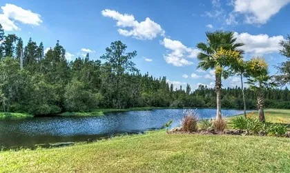 Hutan di Florida, AS