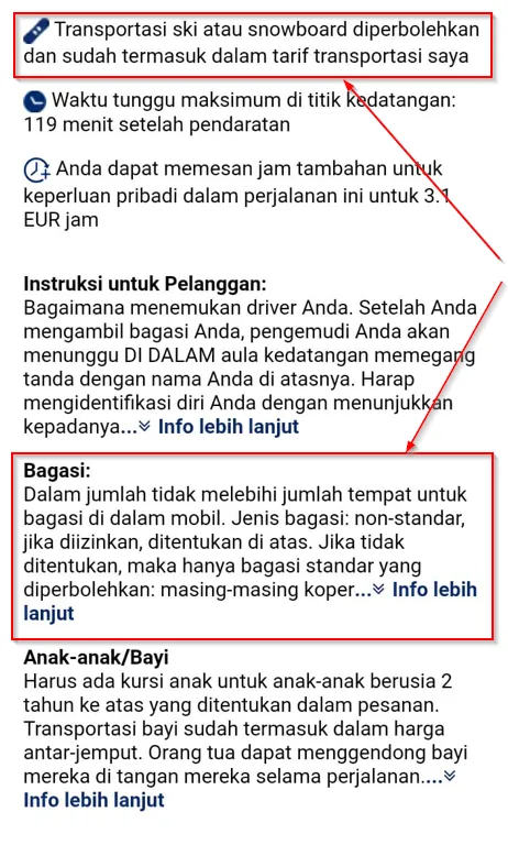 Fragmen halaman situs web dengan deskripsi opsi mobil.
