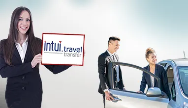 Transfer individu